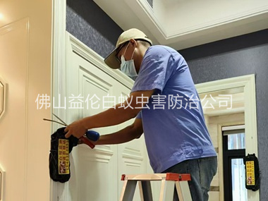 六和住宅白蚁防治工程